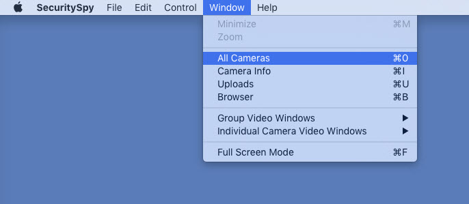 All Cameras Option